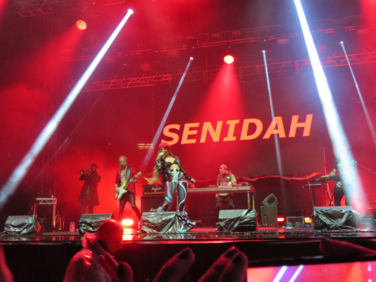 Senidah — nastup